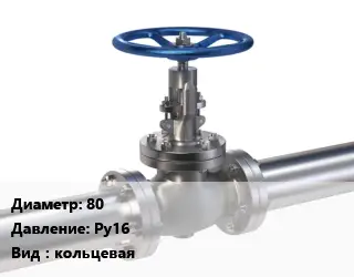 Задвижка нержавеющая 80 Ру16 кольцевая